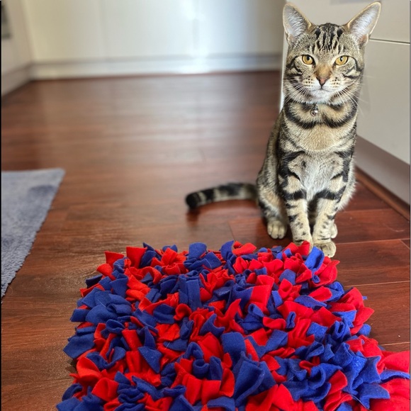 TIMMY’S SNIFFYS - MEDIUM SNIFF MAT 35cm x 35cm - Picture 5 of 5